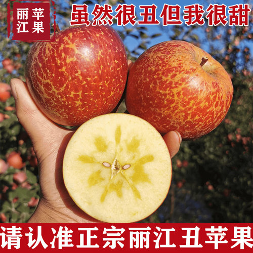 云南丽江丑苹果宁蒗大凉山9斤整