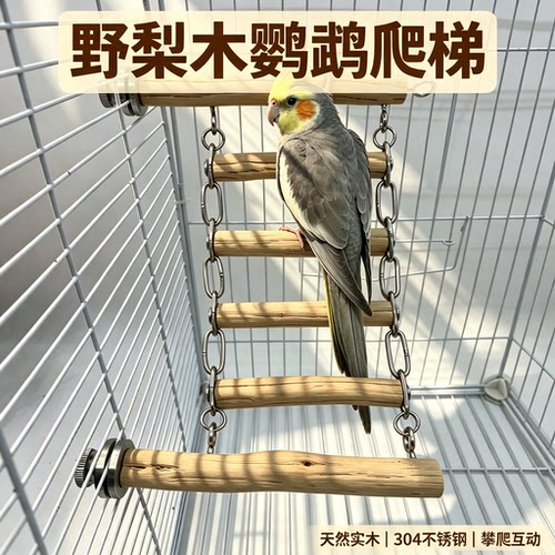 鹦鹉梨木爬梯适合中小型鹦鹉攀爬