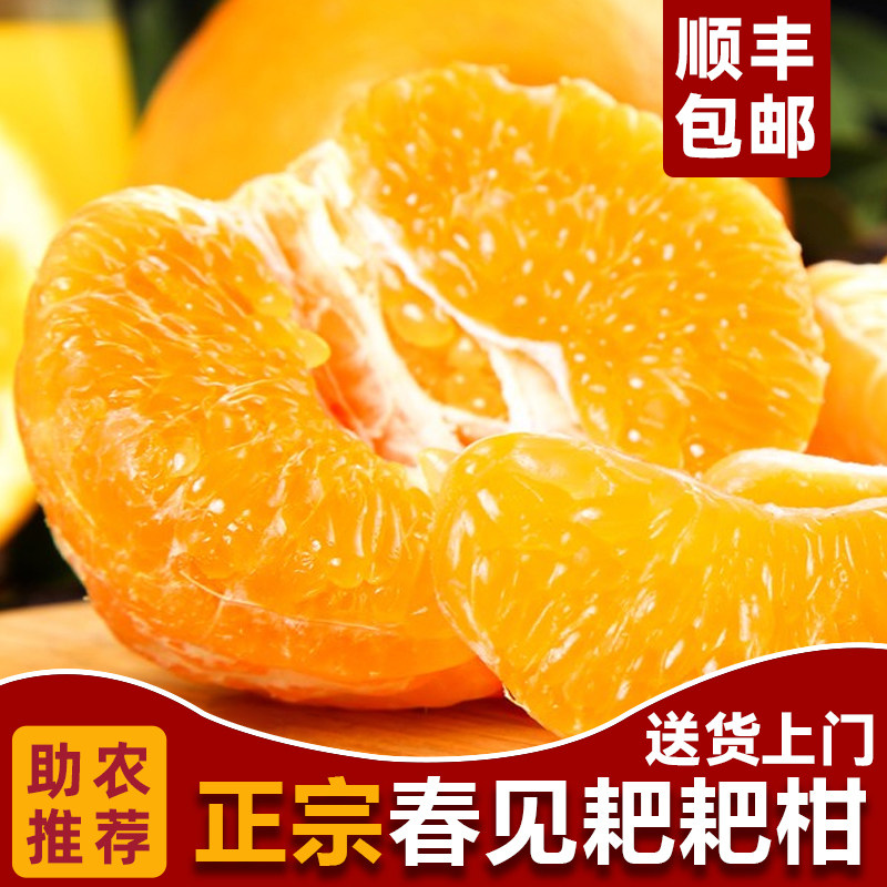 正宗春见耙耙柑橘子净10斤粑粑杷杷柑丑桔子整箱当季新鲜水果