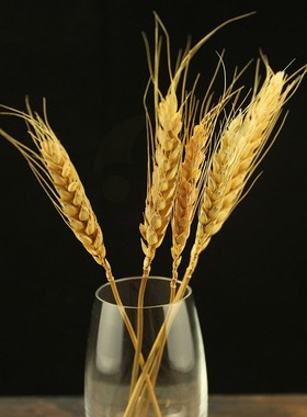 酒术 创意鸡尾酒装饰品原生态麦穗摆件个性一次性鸡尾酒签装饰物