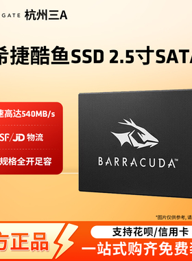 Seagate希捷固态硬盘256G/512G/1t笔记本台式电脑sata3接口ssd