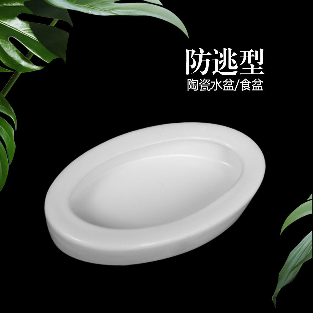 爬虫防逃食盆陶瓷喂食器爬宠水盆