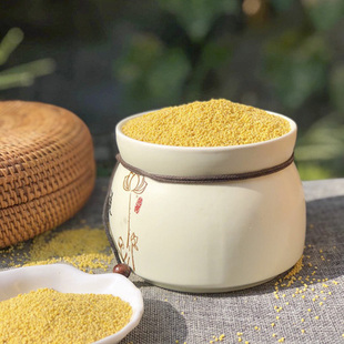 山东安丘辉渠山地小米新米好喝春谷月子米农家食用杂粮粥米5斤装