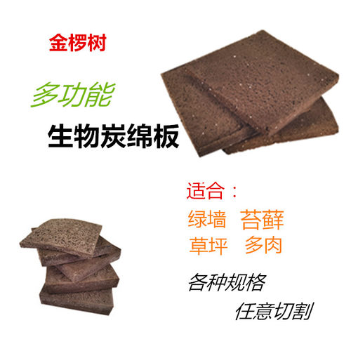 平面绿化苔藓无土种植干净卫生