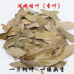 浦城自然香味桂叶20g香叶 月桂叶 炖菜烧菜火锅辅料 天然香料