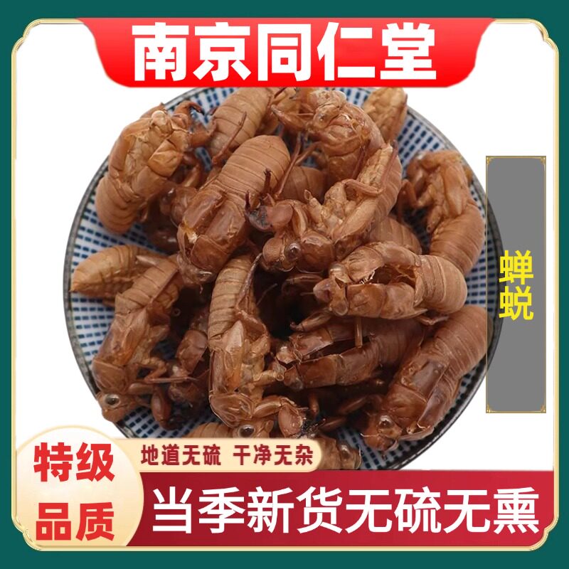 同仁堂精选蝉蜕中药材野生蝉衣干