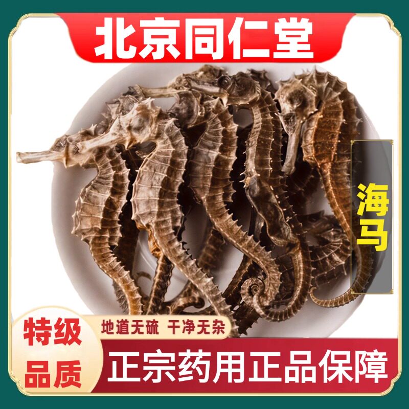 北京同仁堂海马药材海南三斑海马干货泡酒海龙大海马煲汤配对公母