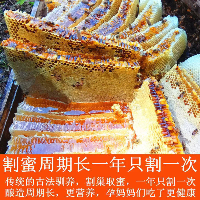 土蜂蜜纯正天然深山一年采割野生