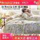 多喜爱60支纯棉四件套全棉2025新款 轻奢高级感主卧室高端床上用品
