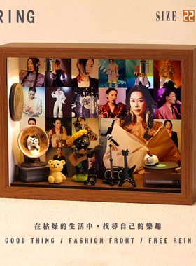 那英周边diy相框小屋想念创意造景摆件装饰小礼物微缩专辑生日