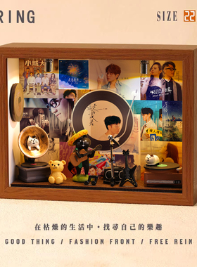 王铮亮周边音乐专辑相框创意桌面礼物造景摆件生日礼品送男生女生