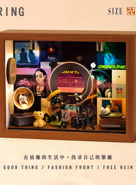 王琳凯周边diy相框小屋想念创意造景摆件装饰小礼物微缩专辑生日