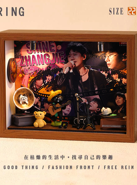 张杰周边专辑相框小屋小纪念创意音乐造景手工礼物微缩装饰摆件