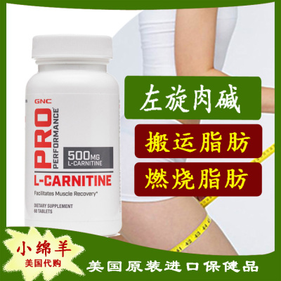 美国GNC左旋肉碱脂肪搬运500mg