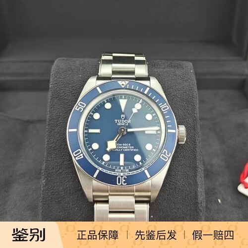 TUDOR 帝舵 碧湾系列M79030b-0001 蓝盘夜光自动机械钢带男表