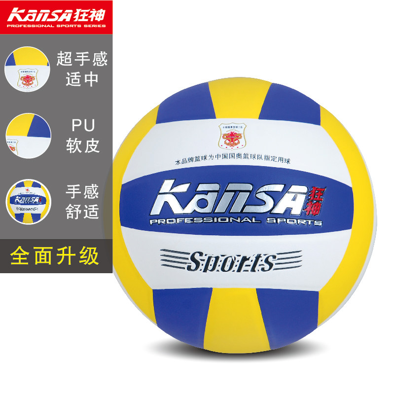 Ballon de volley-ball - Ref 2011064 Image 1