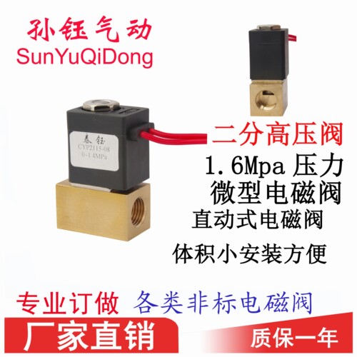cybp2115-0816公斤2分微型阀门