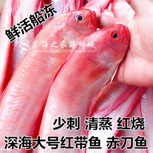 东海红带鱼鲜活冷冻大带鱼新鲜赤刀鱼深海鱼海鲜水产品1斤重2 3条
