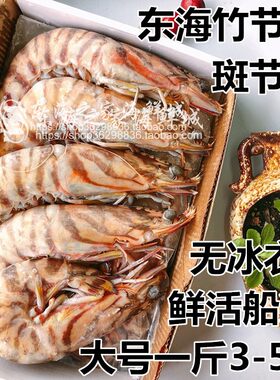 东海野生竹节虾鲜活冷冻九节虾