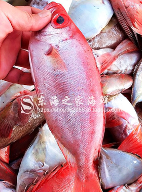 深海鱼冷冻红目鲢新鲜大眼鸡鱼