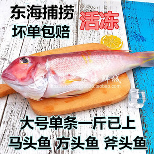 新货深海鱼马头鱼甘鲷新鲜斧头鱼鲜活冷冻方头鱼海鲜水产品1斤2重