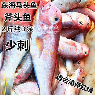 2斤装东海马头鱼鲜活冷冻斧头鱼深海鱼新鲜甘鲷鱼海鲜水产品少刺