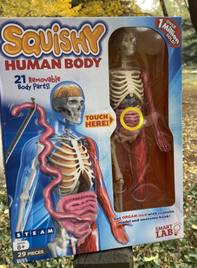 品牌直发 包邮英国SmartLab玩教具Squishy Human Body人体模型8岁