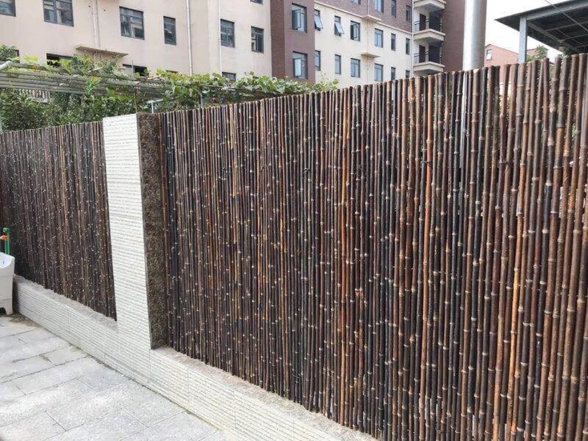 碳化竹篱笆栅栏屏风围栏护栏隔断爬藤架竹竿装饰户外花园