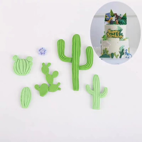 网红仙人掌多款集合大号