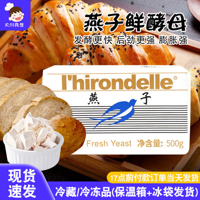 法国乐斯福燕子牌鲜酵母500g