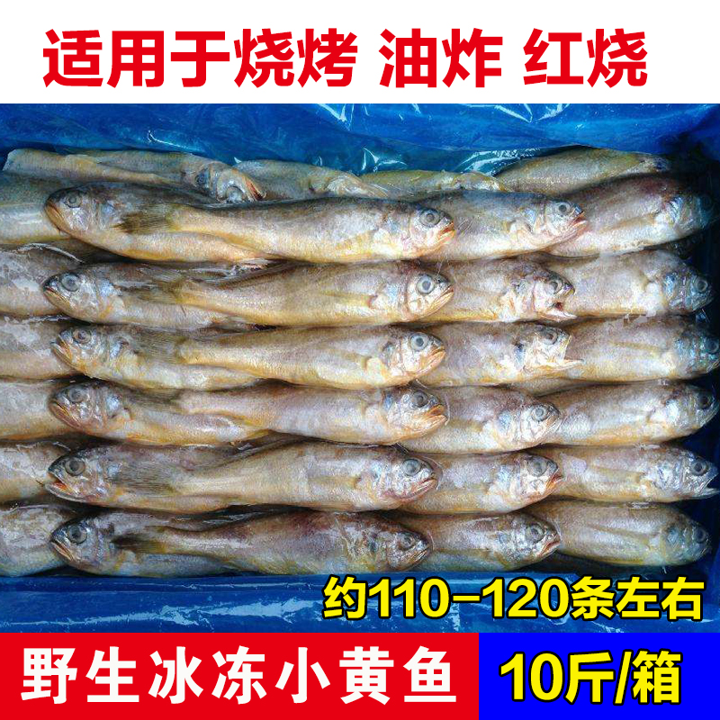 10斤冷冻海鲜水产整箱野生黄花鱼速冻东海小黄鱼烧烤黄花鱼包邮