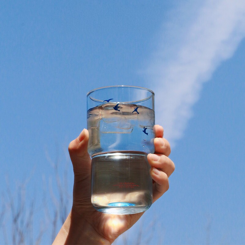 ins风高级感高颜值女耐热家用咖啡可叠放高级清透感夏日喝水杯子