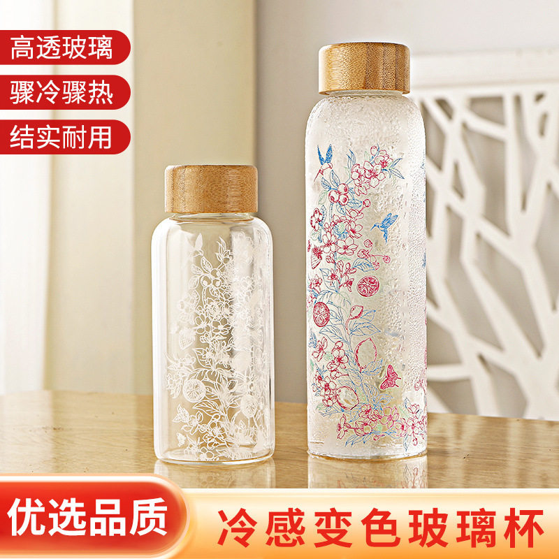 大容量高硼硅玻璃冷泡杯冷萃茶杯夏天水杯2026新款玻璃杯子550ML