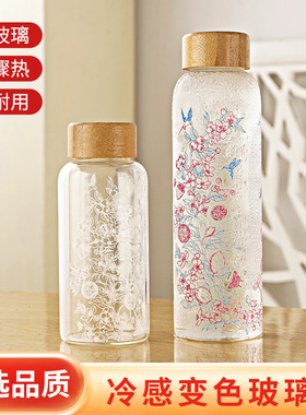 大容量高硼硅玻璃冷泡杯冷萃茶杯夏天水杯2026新款玻璃杯子550ML