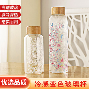 大容量高硼硅玻璃冷泡杯冷萃茶杯夏天水杯2026新款玻璃杯子550ML