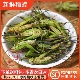 速冻 绿色蚱蜢 中华小稻蝗 新鲜 稻田蚂蚱 飞蝗虫 草蜢 小油蚂蚱