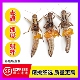 蚱蜢 当季 东亚飞蝗虫 去翅带卵籽蝗虫 雌蚂蚱 新鲜速冻 全母蚂蚱