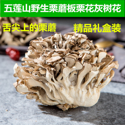 山东五莲特产栗蘑栗花250克