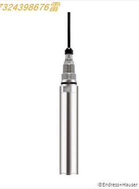 议价E+H浊度传器探头CUS51D-AAC1A3