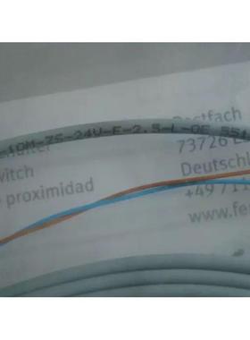 议价 SME-10M-ZS-24V-E-2.5-L-OE 551369 FESTO