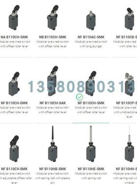 议价FF 4515-2DN PIZZATO微动开关 NF B110BB-DN2