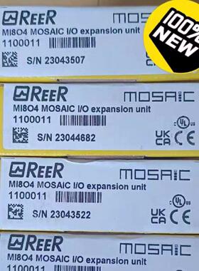 议价REER睿奥 安全继电器 M1S 1100011 RV 06 MI804 MOSAIC I/C