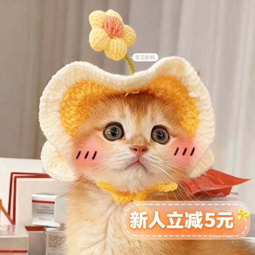 小花朵宠物帽子波浪帽檐针织头套英短猫咪狗狗通用可爱宠物装扮冬