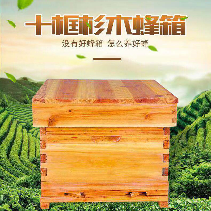 beehive full set Chinese fir Bee Box a complete set Partially Prepared Products Novice Beekeeping toolin the Livestock/Aquaculture supplies , Livestock/Farming equipment , Livestock/Aquaculture Equipment  category - from Buy2taobao.com to provide professional Taobao agent buy service