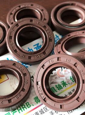 TC 16*28*7 16X28X7 耐高温腐蚀氟胶骨架油封内径16外径28高7毫米