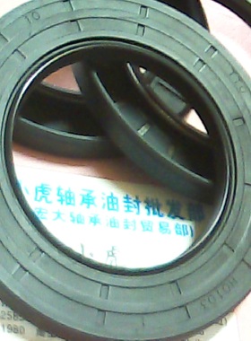 TC 62*100*10 62X100X10 H0103 TTO台湾骨架油封内径62外100高10