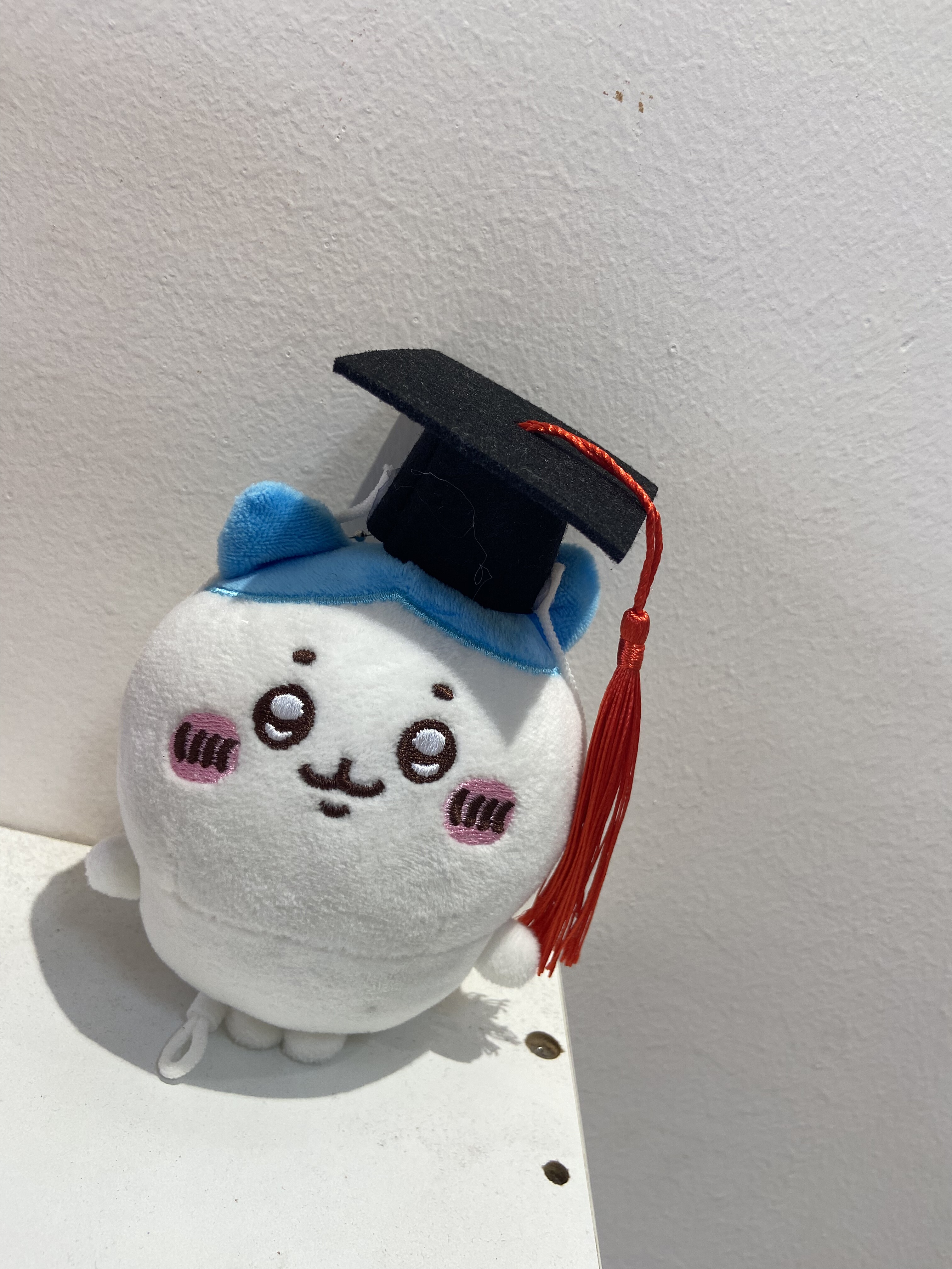 大学生毕业帽学院10厘米chiikawa吉伊卡哇小八可爱乌萨奇玩偶娃衣