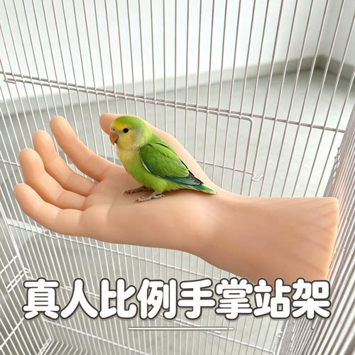 鹦鹉脱敏上手假手模具鸟笼假手玩具仿真硅胶可训练站架安抚站架