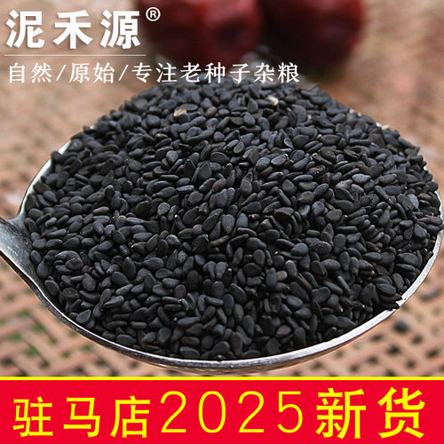 精选黑芝麻生驻马店特产25年新货