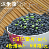 乌豆 无抛光 药食同源 椭圆形 500g 河南农家老品种 绿芯大笨黑豆